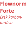 Flownorm  Forte Erek karban- tartása